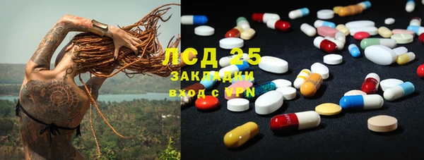 дживик Баксан